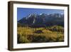 Piatra Craiului Massif, Piatra Craiului Np, Transylvania, Southern Carpathian Mountains, Romania-Dörr-Framed Photographic Print