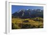 Piatra Craiului Massif, Piatra Craiului Np, Transylvania, Southern Carpathian Mountains, Romania-Dörr-Framed Photographic Print