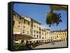 Piazza Anfiteatro, Lucca, Tuscany, Italy, Europe-Nico Tondini-Framed Stretched Canvas