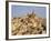 Piazza Armerina, Sicily, Italy-Ken Gillham-Framed Photographic Print