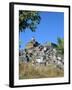 Piazza Armerina, Sicily, Italy-Peter Thompson-Framed Photographic Print