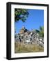 Piazza Armerina, Sicily, Italy-Peter Thompson-Framed Photographic Print