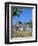 Piazza Armerina, Sicily, Italy-Peter Thompson-Framed Photographic Print