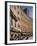 Piazza Del Campo, Siena, Tuscany, Italy, Europe-Angelo Cavalli-Framed Photographic Print