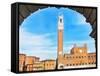 Piazza del Campo, Siena-Tosh-Framed Stretched Canvas