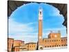 Piazza del Campo, Siena-Tosh-Stretched Canvas