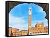 Piazza del Campo, Siena-Tosh-Framed Stretched Canvas