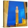 Piazza del Campo, Siena-Tosh-Stretched Canvas