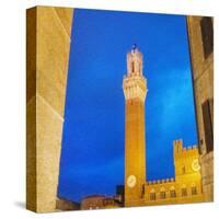 Piazza del Campo, Siena-Tosh-Stretched Canvas