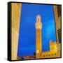 Piazza del Campo, Siena-Tosh-Framed Stretched Canvas