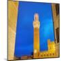 Piazza del Campo, Siena-Tosh-Mounted Art Print