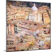 Piazza del Campo, Siena-Tosh-Mounted Art Print