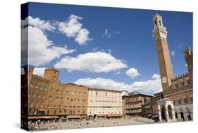 Piazza Del Campo with Palazzo Pubblico, Sienna, Tuscany, Italy-Martin Child-Stretched Canvas