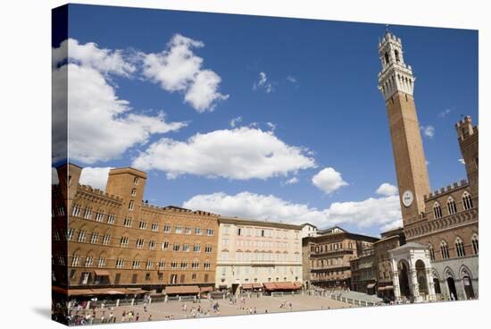 Piazza Del Campo with Palazzo Pubblico, Sienna, Tuscany, Italy-Martin Child-Stretched Canvas