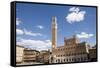 Piazza Del Campo with Palazzo Pubblico, Sienna, Tuscany, Italy-Martin Child-Framed Stretched Canvas