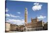 Piazza Del Campo with Palazzo Pubblico, Sienna, Tuscany, Italy-Martin Child-Stretched Canvas