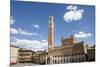 Piazza Del Campo with Palazzo Pubblico, Sienna, Tuscany, Italy-Martin Child-Mounted Photographic Print