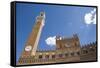 Piazza Del Campo with Palazzo Pubblico, Sienna, Tuscany, Italy-Martin Child-Framed Stretched Canvas