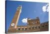 Piazza Del Campo with Palazzo Pubblico, Sienna, Tuscany, Italy-Martin Child-Stretched Canvas