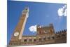 Piazza Del Campo with Palazzo Pubblico, Sienna, Tuscany, Italy-Martin Child-Mounted Photographic Print