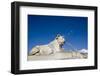 Piazza Del Popolo-Stefano Amantini-Framed Photographic Print