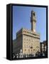 Piazza Della Signoria and Palazzo Vecchio, Florence, Italy-Peter Thompson-Framed Stretched Canvas