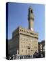 Piazza Della Signoria and Palazzo Vecchio, Florence, Italy-Peter Thompson-Stretched Canvas