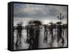 Piazza San Marco Looking across to San Giorgio Maggiore, Venice, Italy-Jon Arnold-Framed Stretched Canvas