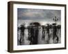 Piazza San Marco Looking across to San Giorgio Maggiore, Venice, Italy-Jon Arnold-Framed Photographic Print