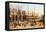 Piazza San Marco-Canaletto-Framed Stretched Canvas