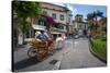 Piazza Sant Antonino, Sorrento, Campania, Italy, Europe-Frank Fell-Stretched Canvas