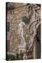 Piazza Signoria, Davide by Michelangelo-Guido Cozzi-Stretched Canvas