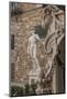 Piazza Signoria, Davide by Michelangelo-Guido Cozzi-Mounted Photographic Print