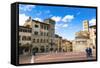 Piazza Vasari (Piazza Grande), Arezzo, Tuscany, Italy, Europe-Nico Tondini-Framed Stretched Canvas