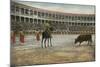 Picador in Bullfight, Spain-null-Mounted Art Print