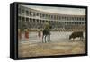 Picador in Bullfight, Spain-null-Framed Stretched Canvas