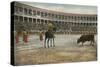 Picador in Bullfight, Spain-null-Stretched Canvas