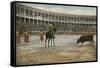 Picador in Bullfight, Spain-null-Framed Stretched Canvas