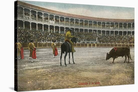 Picador in Bullfight, Spain-null-Stretched Canvas