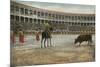 Picador in Bullfight, Spain-null-Mounted Art Print