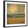 Picardy Wheat-Dawne Polis-Framed Art Print