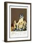 PICASSO POLAROIDS & TRAVEL TRANSPARENCIES (drawing)-Ralph Steadman-Framed Giclee Print