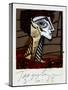 PICASSO POLAROIDS & TRAVEL TRANSPARENCIES (drawing)-Ralph Steadman-Stretched Canvas