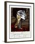 PICASSO POLAROIDS & TRAVEL TRANSPARENCIES (drawing)-Ralph Steadman-Framed Giclee Print