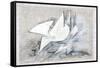 Picasso sketches 108, 1988 (drawing)-Ralph Steadman-Framed Stretched Canvas