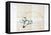 Picasso sketches 39, 1988 (drawing)-Ralph Steadman-Framed Stretched Canvas