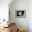 Picasso-Kim Levin-Framed Photographic Print displayed on a wall