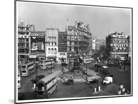 Piccadilly Circus, London, 1952-null-Mounted Photographic Print