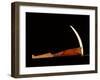 Pick made from a walrus tusk point lashed to a wooden handle-Werner Forman-Framed Giclee Print