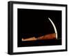 Pick made from a walrus tusk point lashed to a wooden handle-Werner Forman-Framed Giclee Print